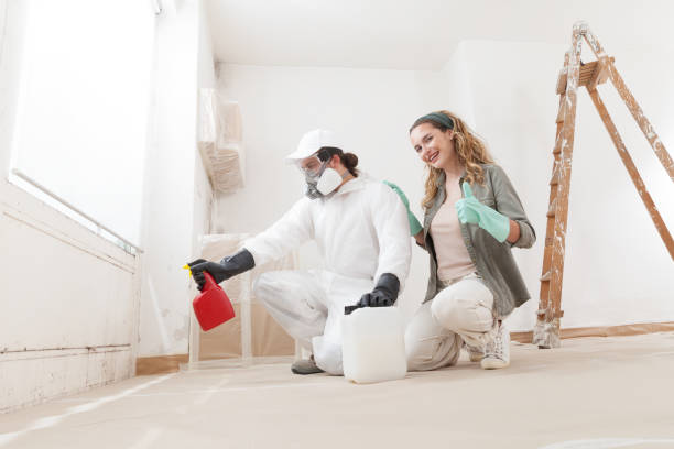 Best Dehumidification Services  in Grosse Pointe Park, MI